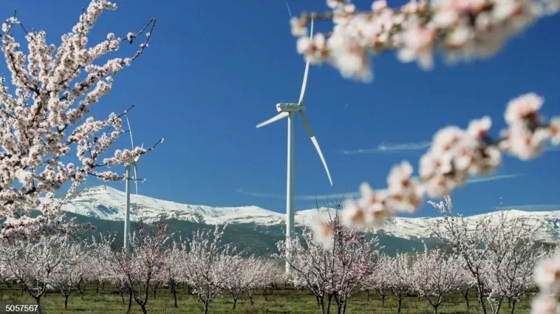 El parque eólico Merengue, en Plasencia, la planta de generación renovable de Naturgy más visitada de España 2 Merca2.es image 2 14 Merca2.es