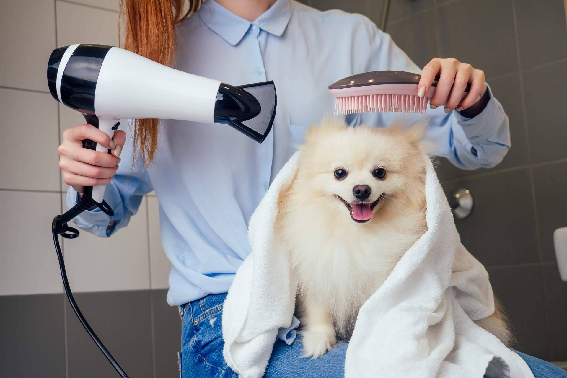 ¿Cuáles son los beneficios de confiar en la peluquería Perrukings, en Madrid?