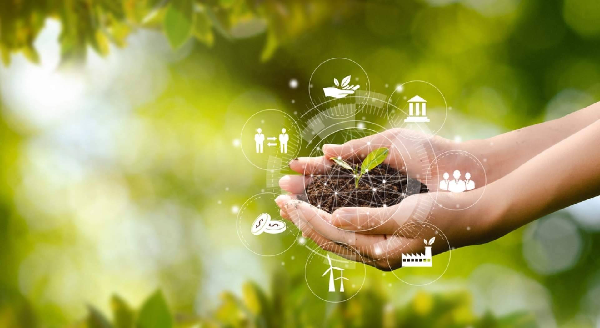 Un espacio donde conocer la normativa de los productos fitosanitarios es Fitovademécum