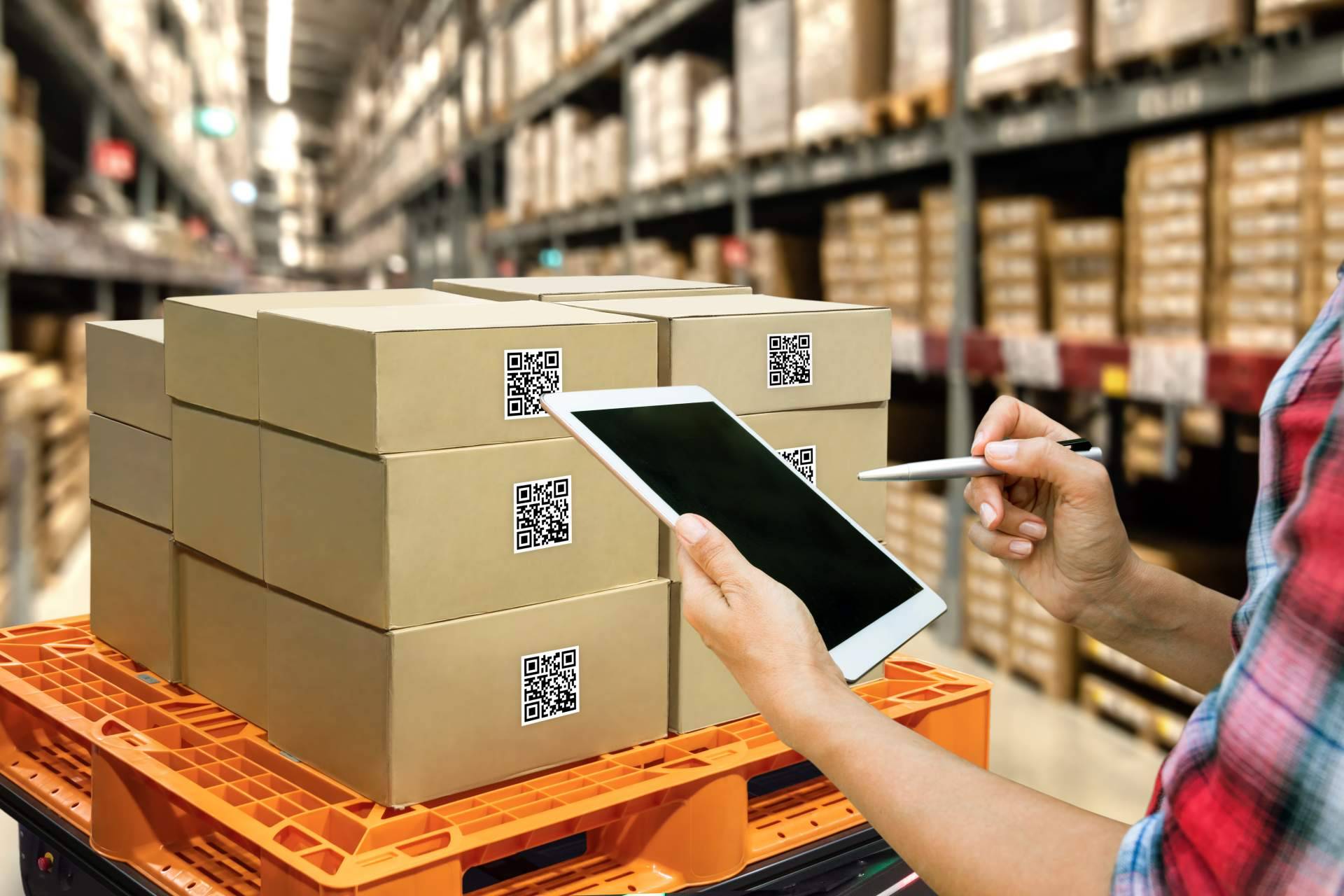Los profesionales de Terra Logistika ofrecen servicios de picking y packing