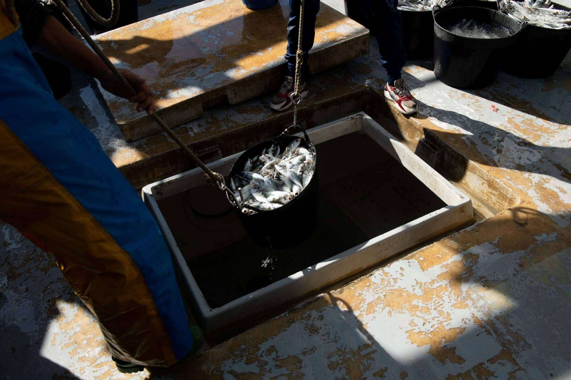 La fotografía empleada para contar historias y reivindicar la pesca, agricultura y ganadería de una comarca, la Axarquía. Mesa para 10