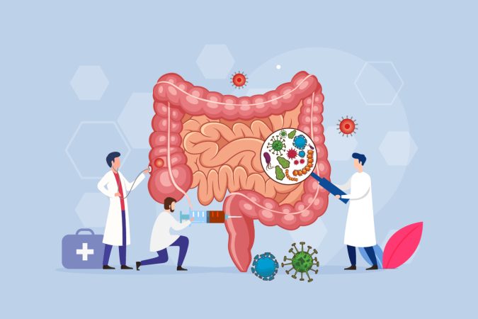 ¿La microbiota intestinal?