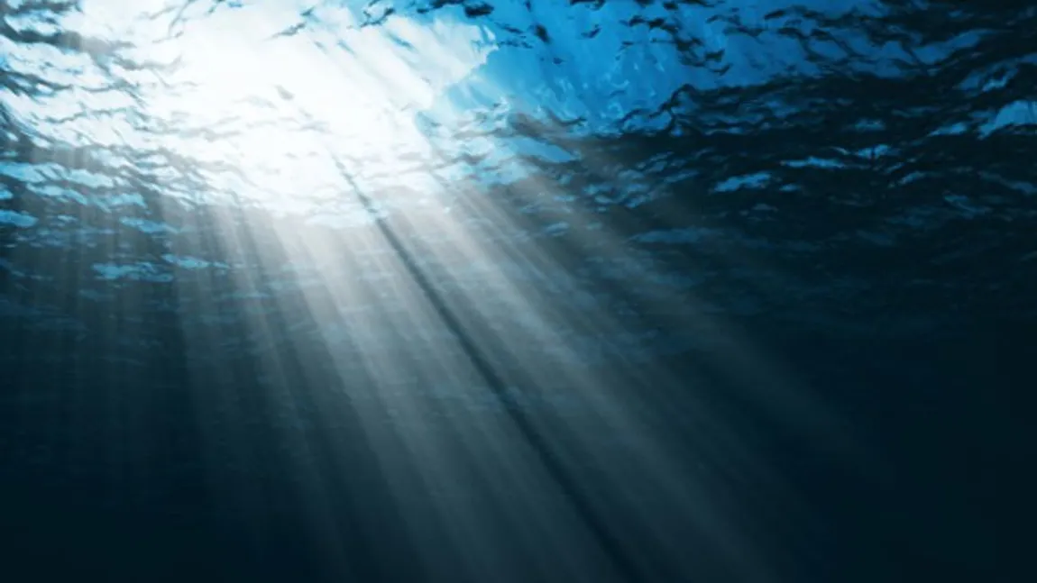 Los océanos: cómo podemos protegerlos de la contaminación y la pesca insostenible