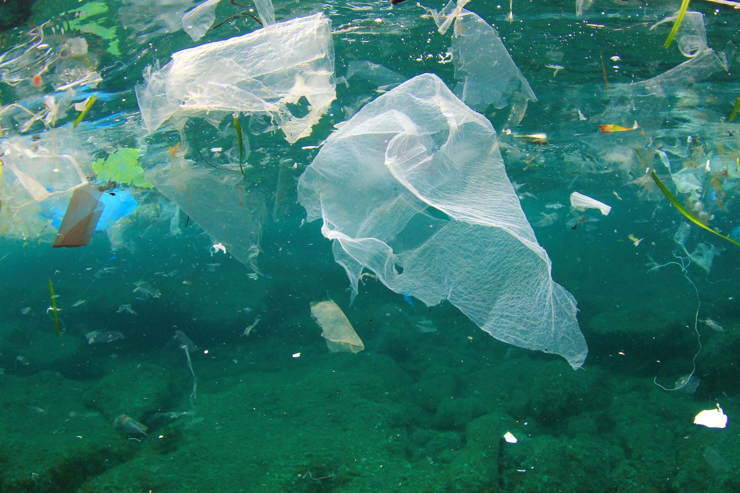 ¿Cómo se están abordando los desechos plásticos?