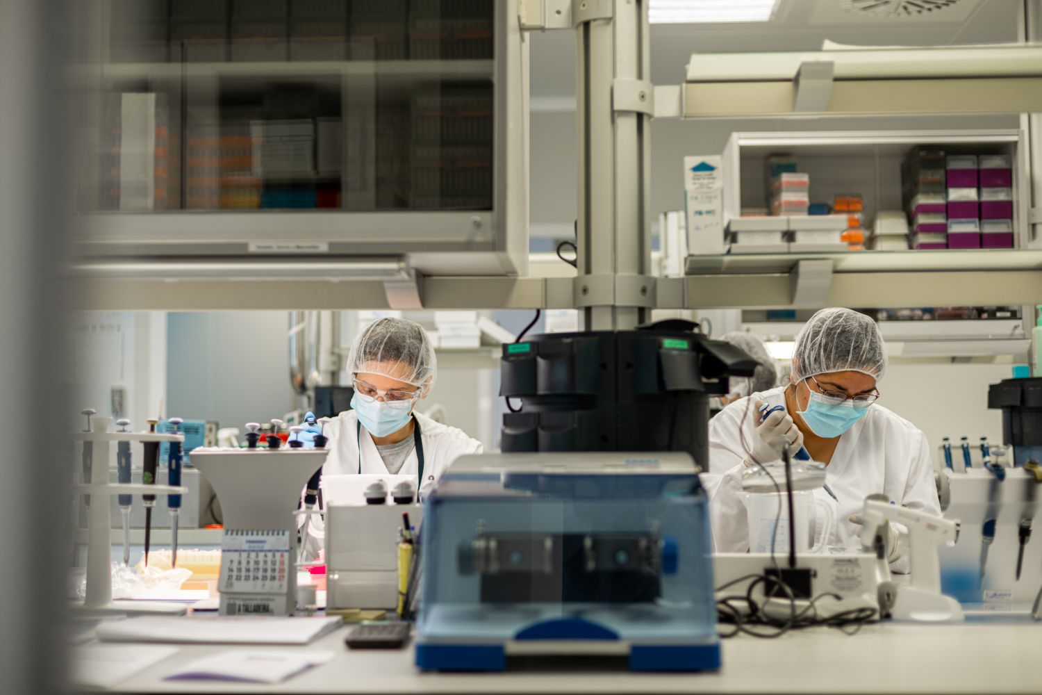 ¿El nuevo microbio volcánico que come CO2 vorazmente será la solución para el cambio climático?