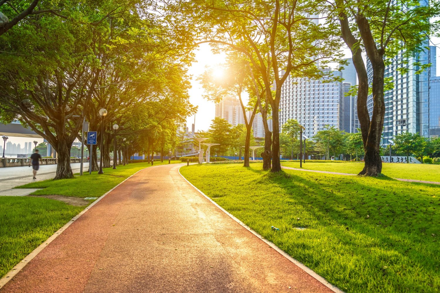 ¿Cómo se puede medir el éxito de las ciudades verdes?