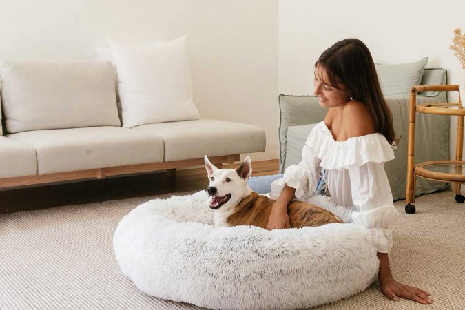 Consejos para cama de mascota