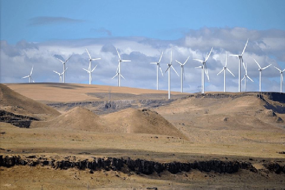 Energía eólica: por qué es la apuesta segura de España