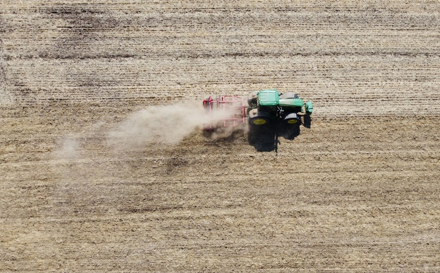 Las indemnizaciones por la sequía en cultivos herbáceos superarán los 300 millones de euros
