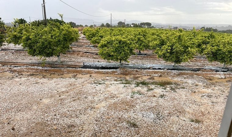 El pedrisco y las heladas tardías rematan al herido campo español 1 Merca2.es EuropaPress 5192982 pedrisco godelleta 1 Merca2.es