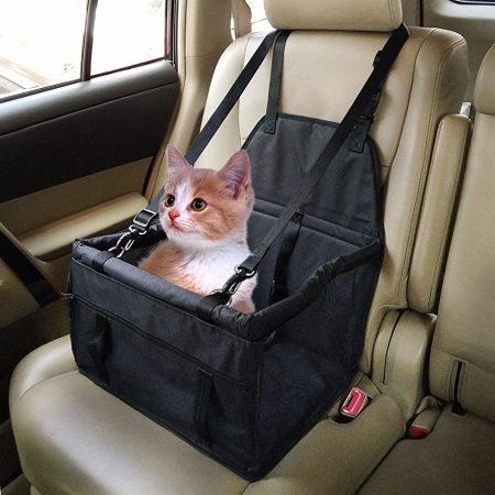 Gato en asiento de Lidl