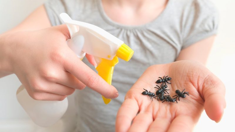 Insecticida casero