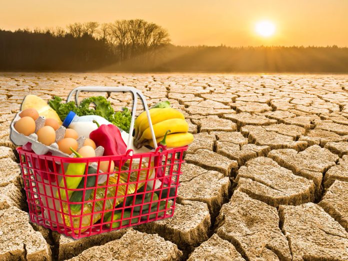 La sequía en España, productos y alimentos que más han subido su precio por este motivo