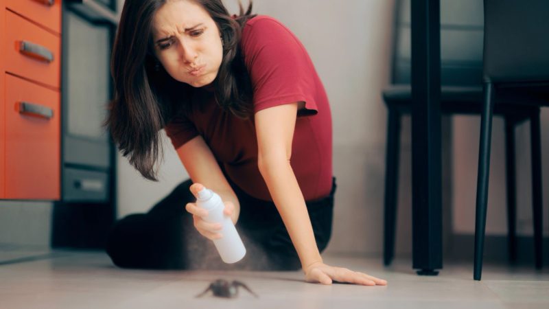 Los insecticidas son ineficaces