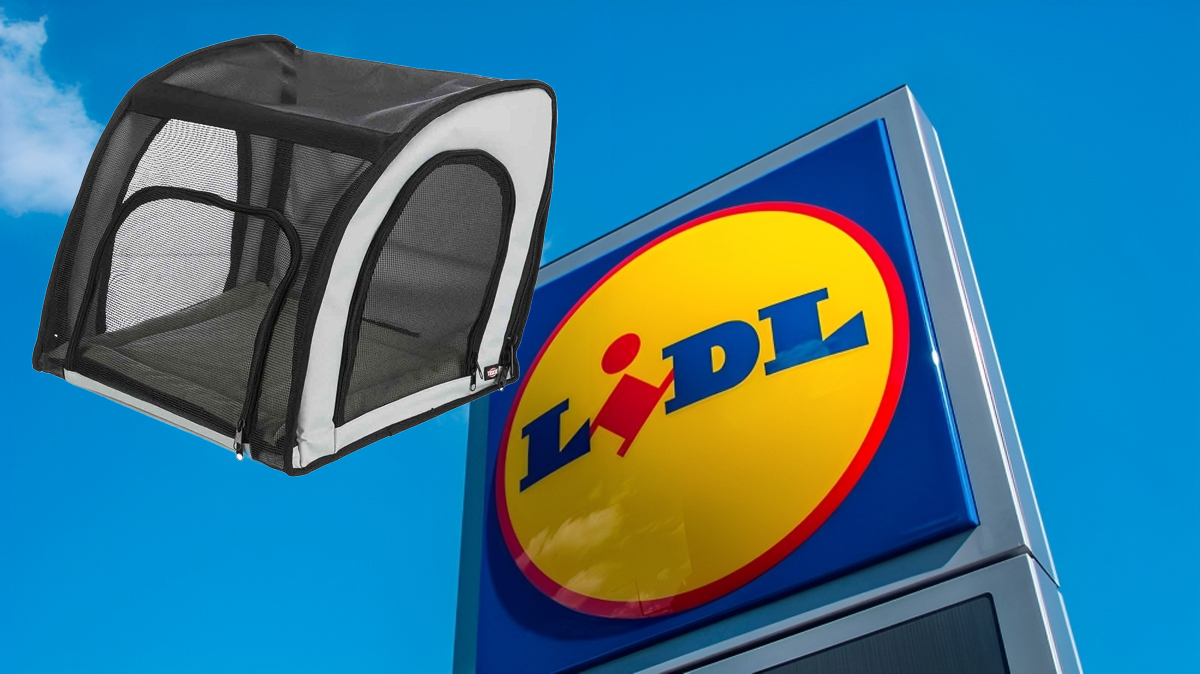 Ya tienes en Lidl el asiento perfecto para llevar a tus mascotas en el coche estas vacaciones