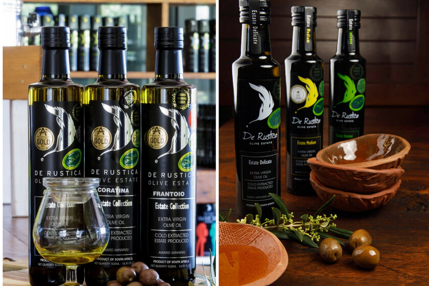 El aceite sudafricano se hace con el título al mejor aceite del mundo, por encima del español y el italiano