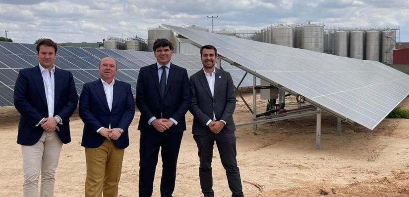 Endesa X construye una planta fotovoltaica para Bodegas Fontana 1 Merca2.es bodegas fontana portada Merca2.es