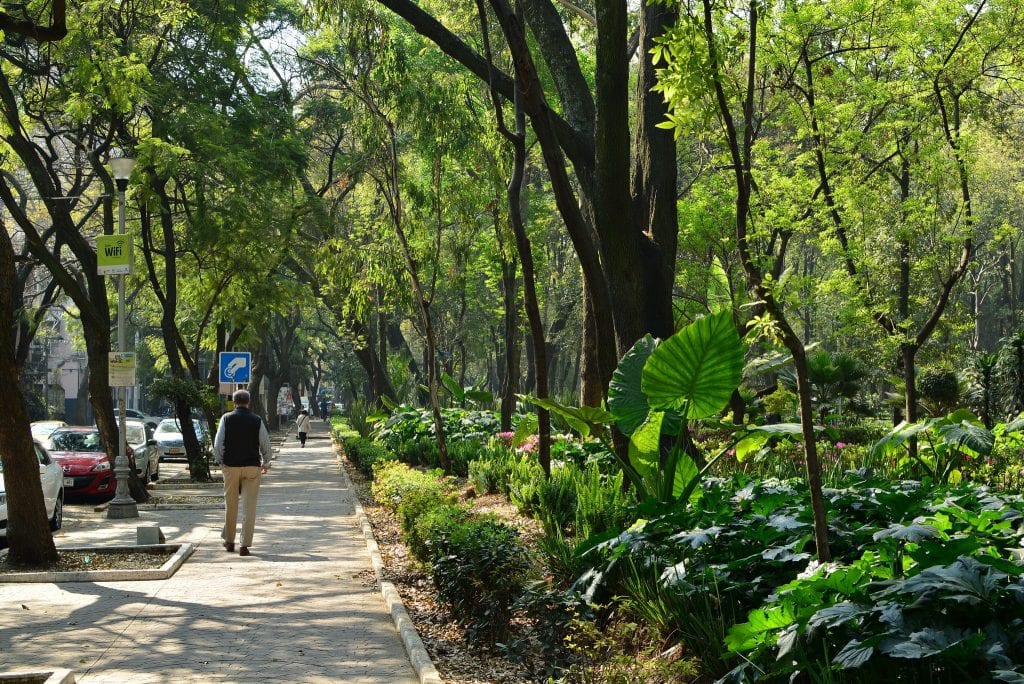 ¿Cuáles son los beneficios de los bosques urbanos?