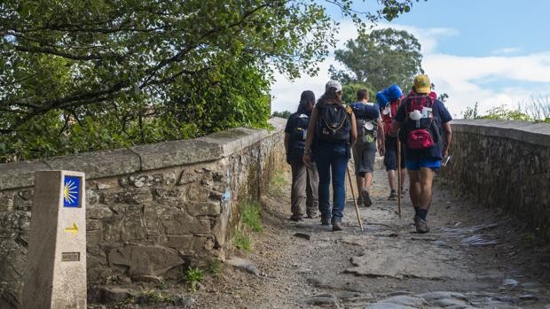 Camino de Santiago