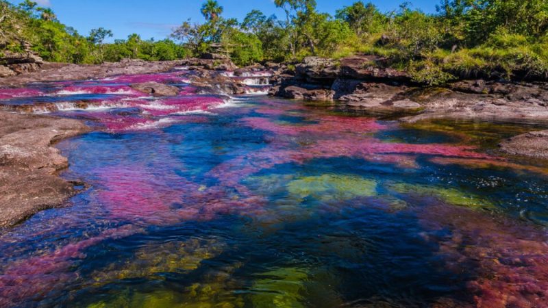 cano cristales el rio de 7 colores un paraiso natural Merca2.es