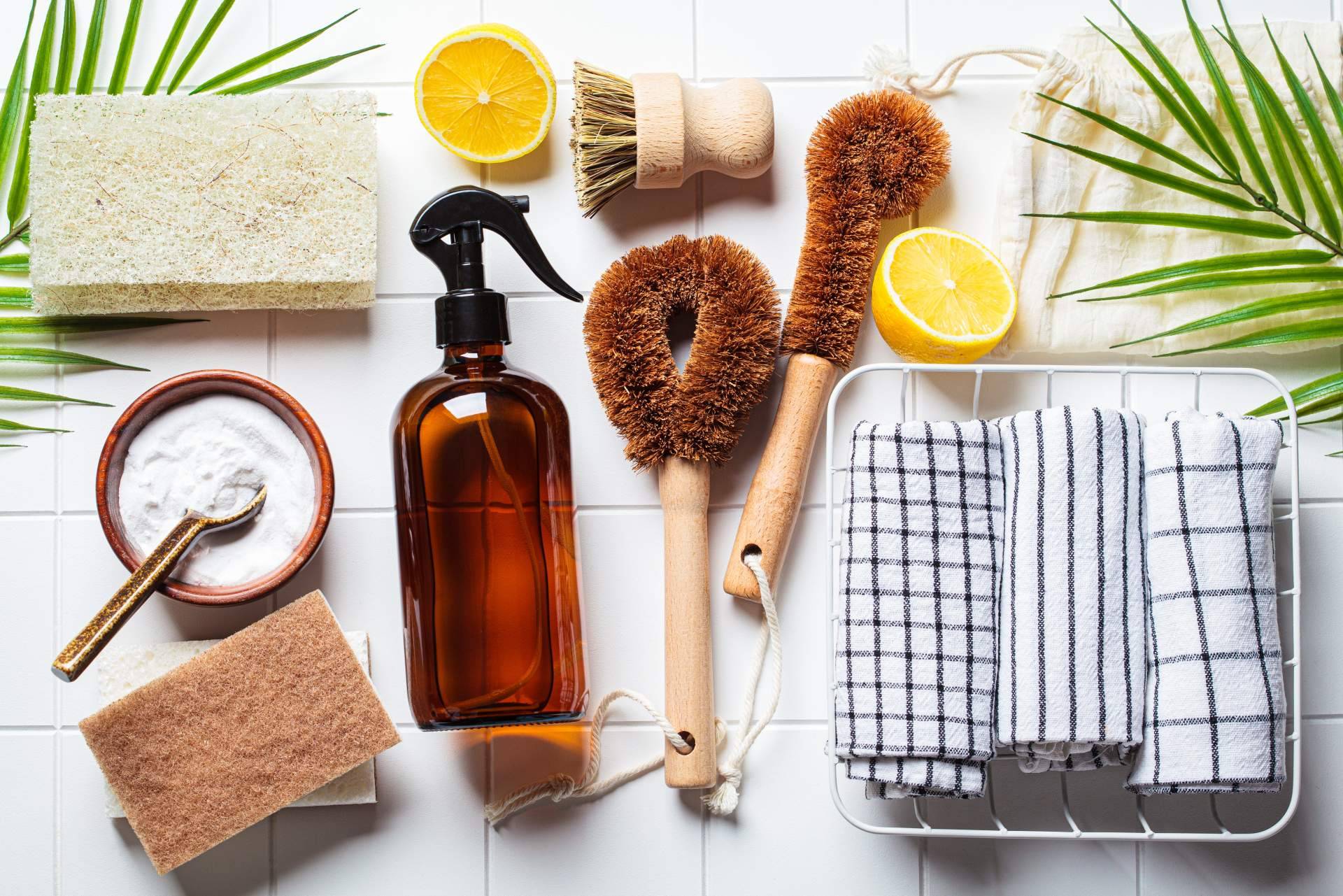 Las opciones ecológicas para la casa y el blog con numerosos tips para mantener una cocina green de My Kitchen and Me