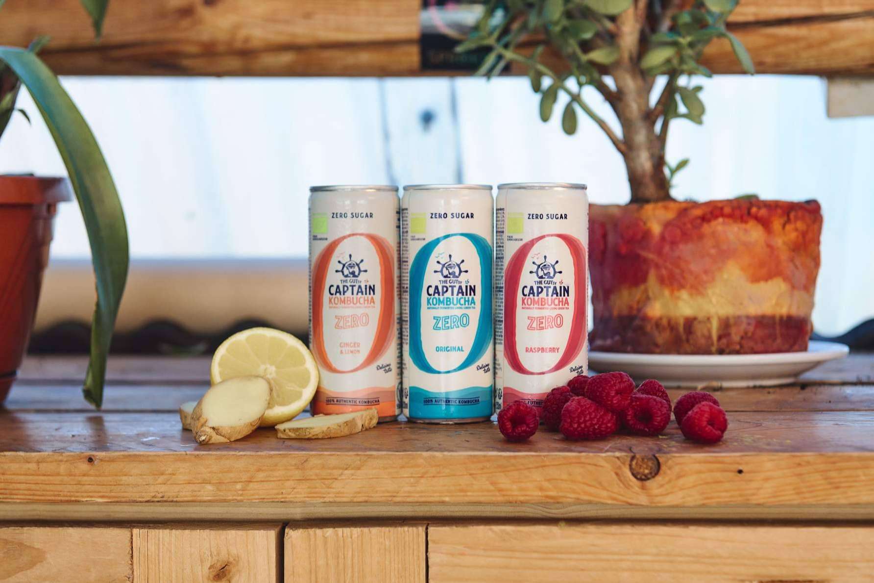 Kombucha en lata, lanzado por GUTsy Captain