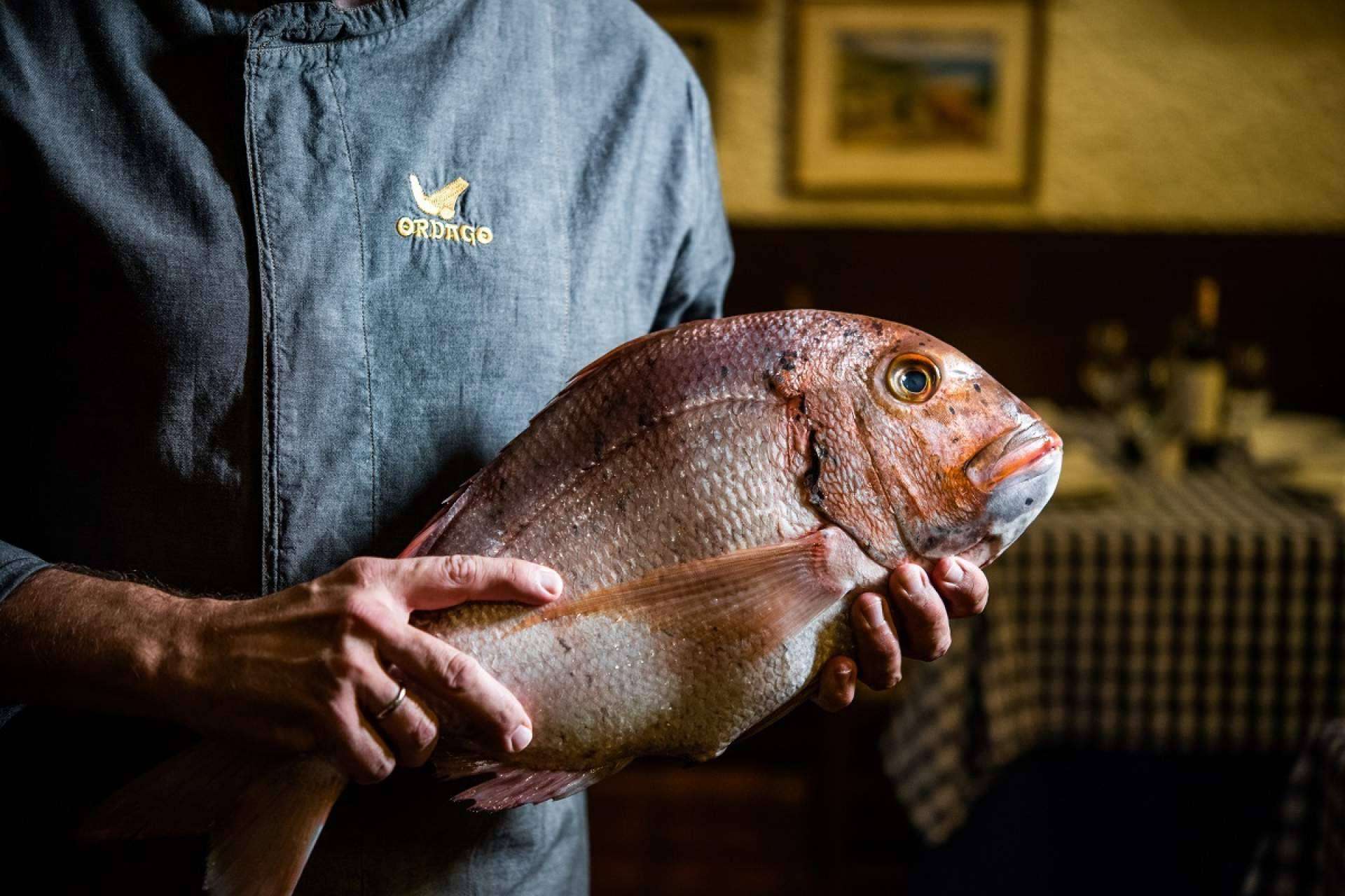Disfrutar de la esencia de la gastronomía vasca en el centro de Madrid con Restaurante Órdago