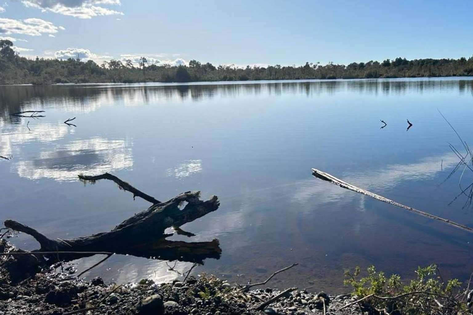 El proyecto Laguna Quemchi ofrece terrenos en el sur de Chile