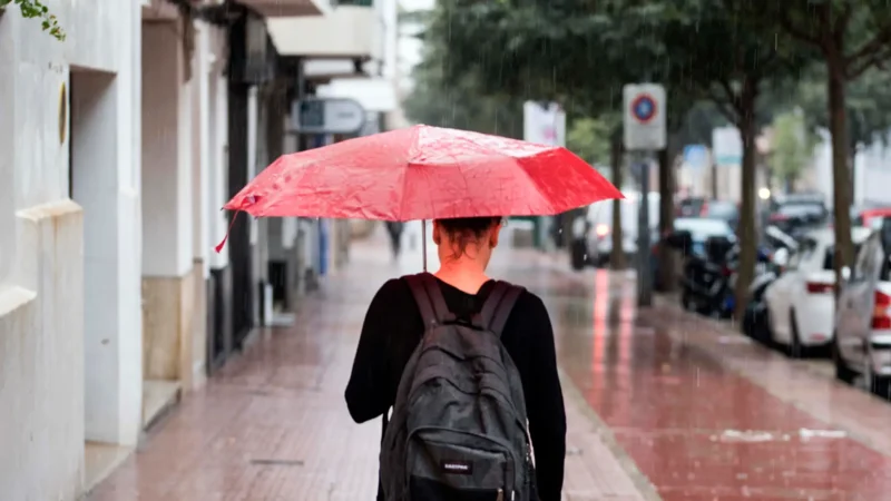 lluvia Merca2.es