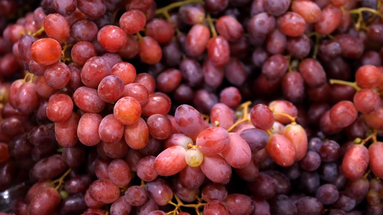 La Denominación de origen de los vinos, ¿qué es?