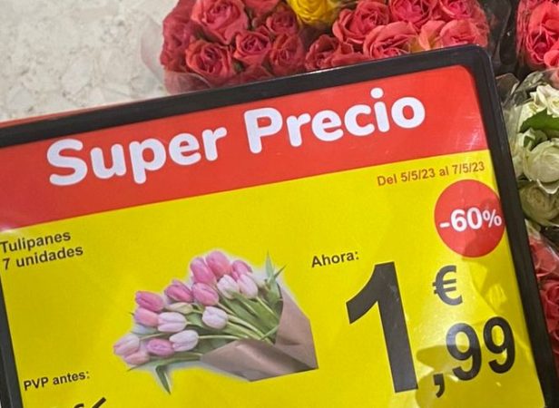 dia de la madre