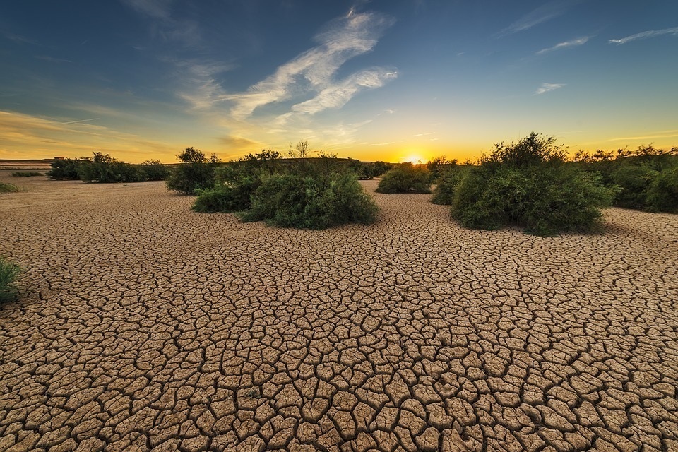 Cómo afectará la sequía a nuestros bolsillos en 2023