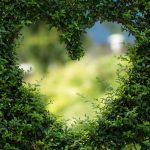 Sapiosexual, demisexual o leñasexual: qué son y cuáles son las diferencias