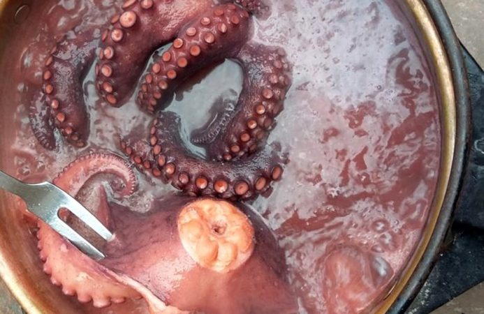 Cómo preparar un increíble pulpo a la gallega 5 Merca2.es Pon a hervir el pulpo