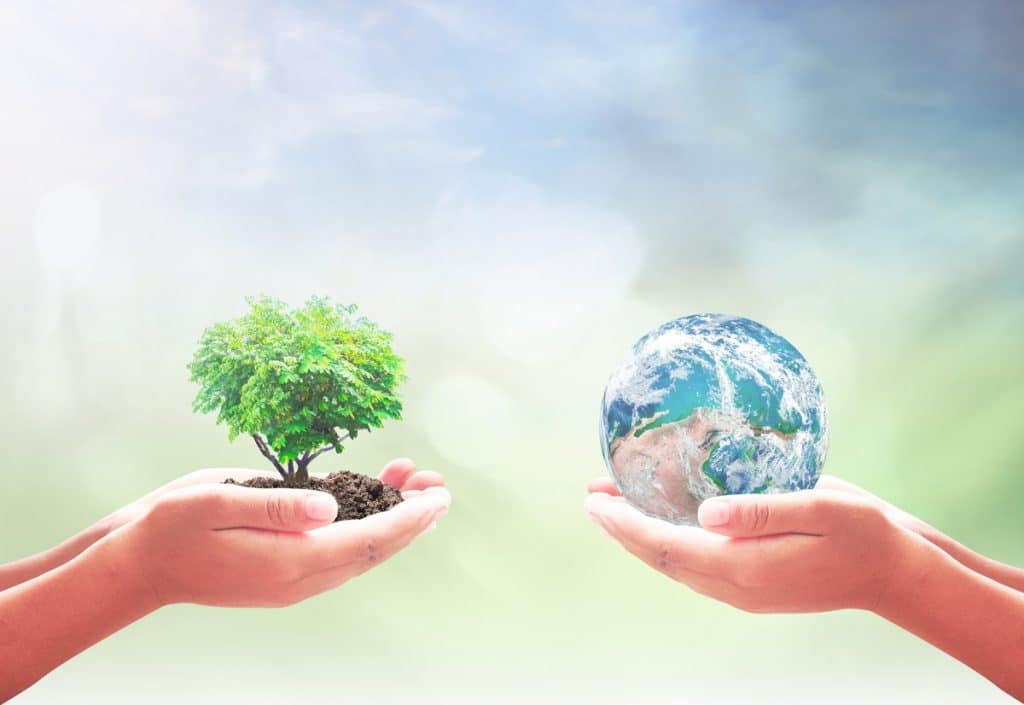 Sostenibilidad: 7 acciones para combatir la contaminación