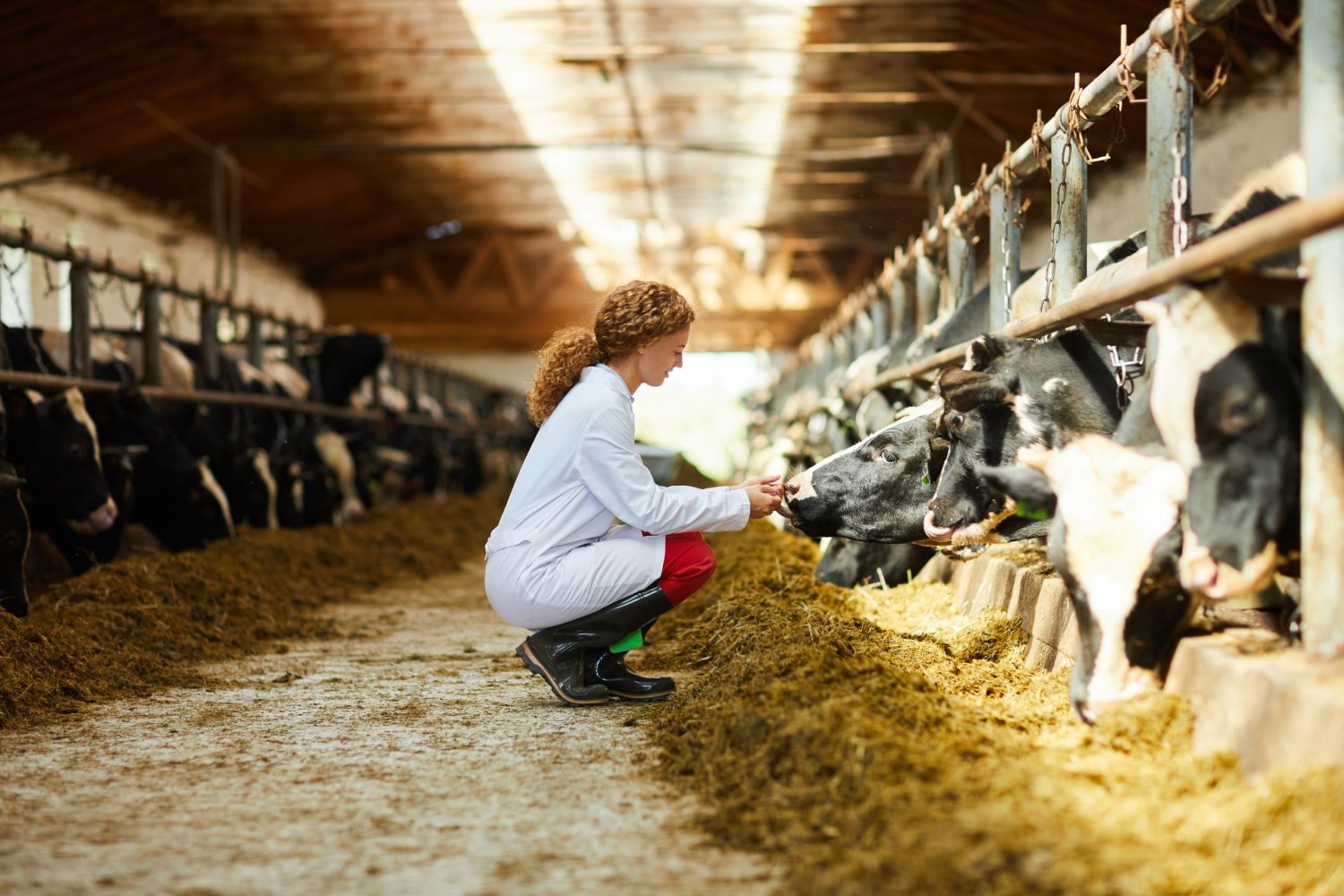 Sostenibilidad: desafíos enfrenta la agricultura y la ganadería en España