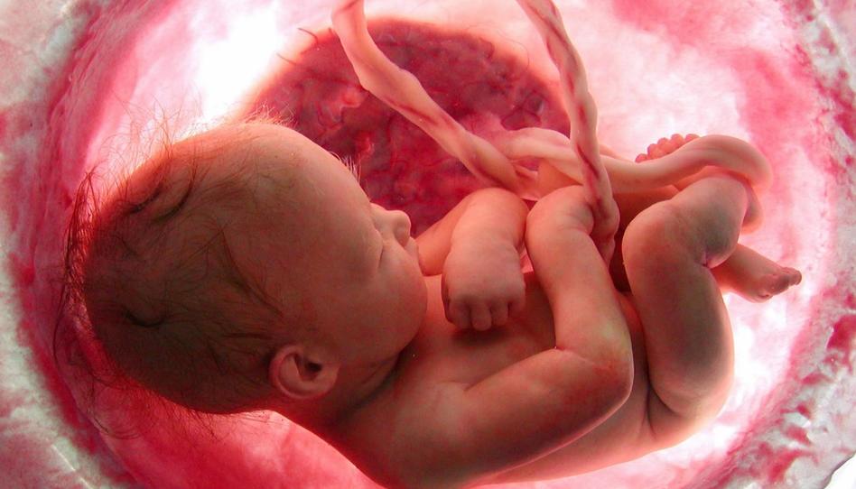 ¿Qué ven los bebés antes de nacer?