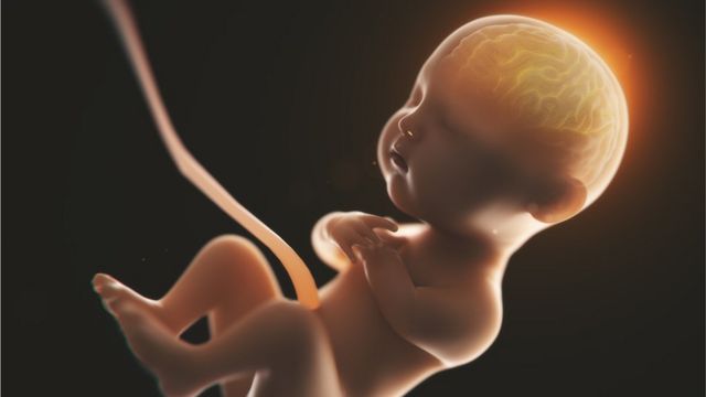 Los bebes perciben desde el vientre