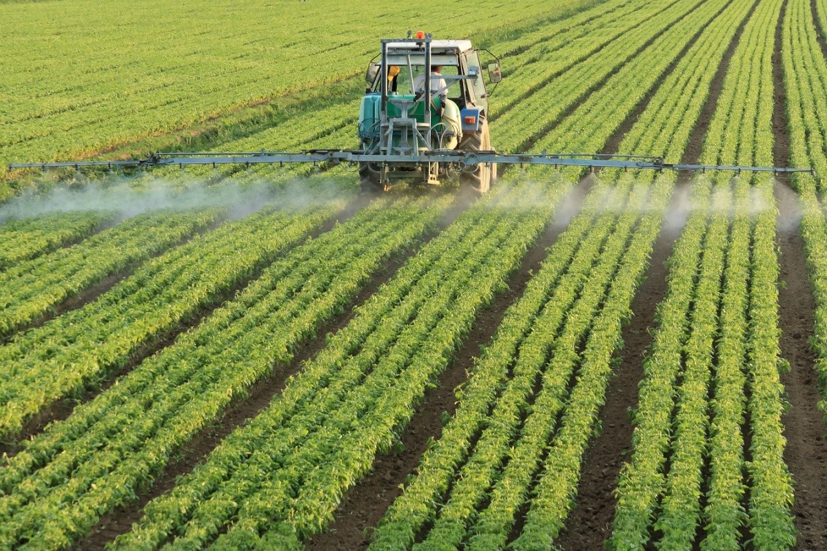 Cómo elegir la mejor cuba agrícola para tus cultivos