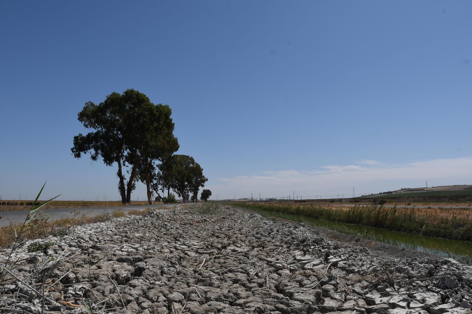 El 75% de los suelos de España tienen el potencial de convertirse en desiertos