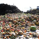 La Ley del Desperdicio Alimentario en pausa tras el adelanto electoral