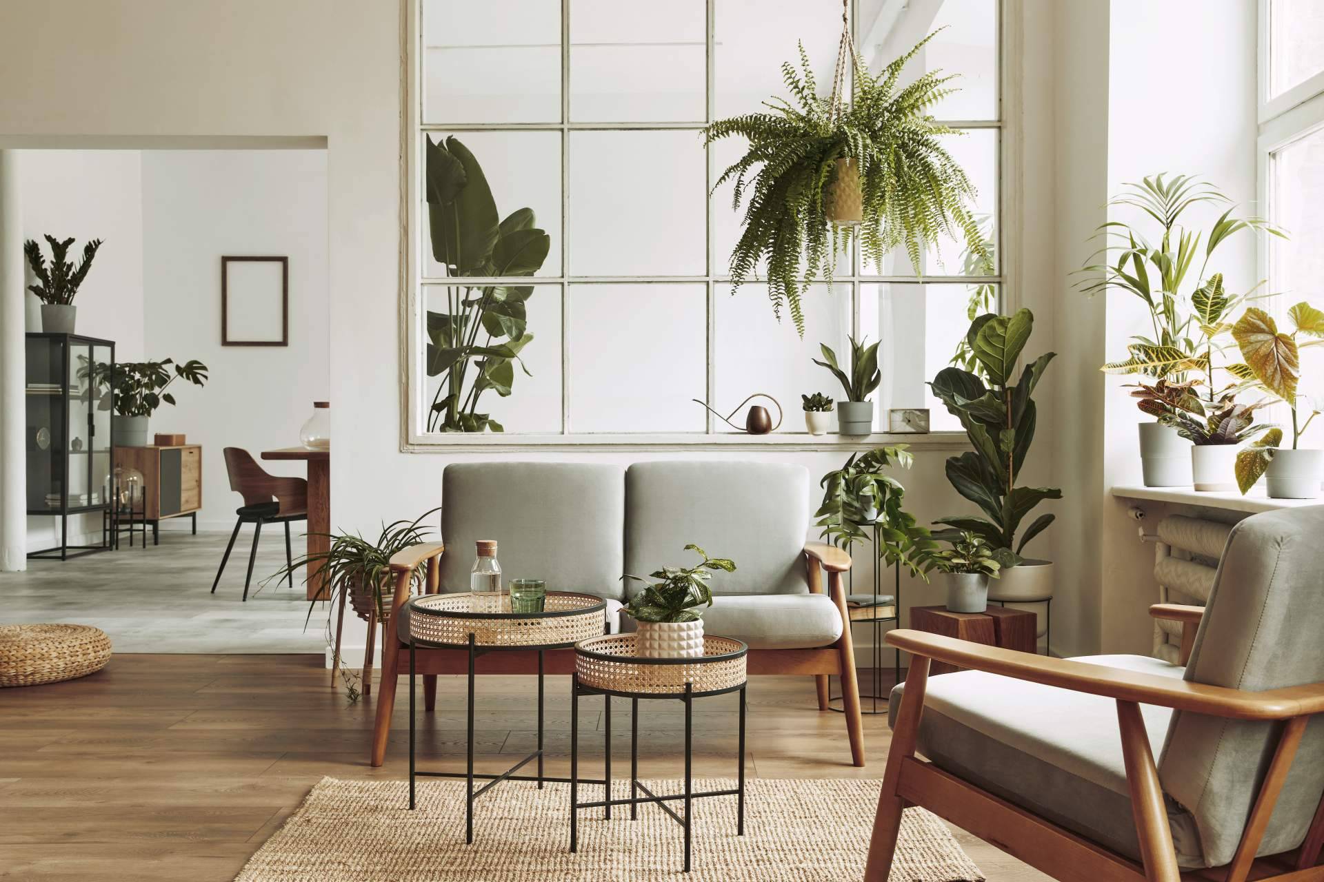 Consejos para la decoración de casas pequeñas, con Decoratips