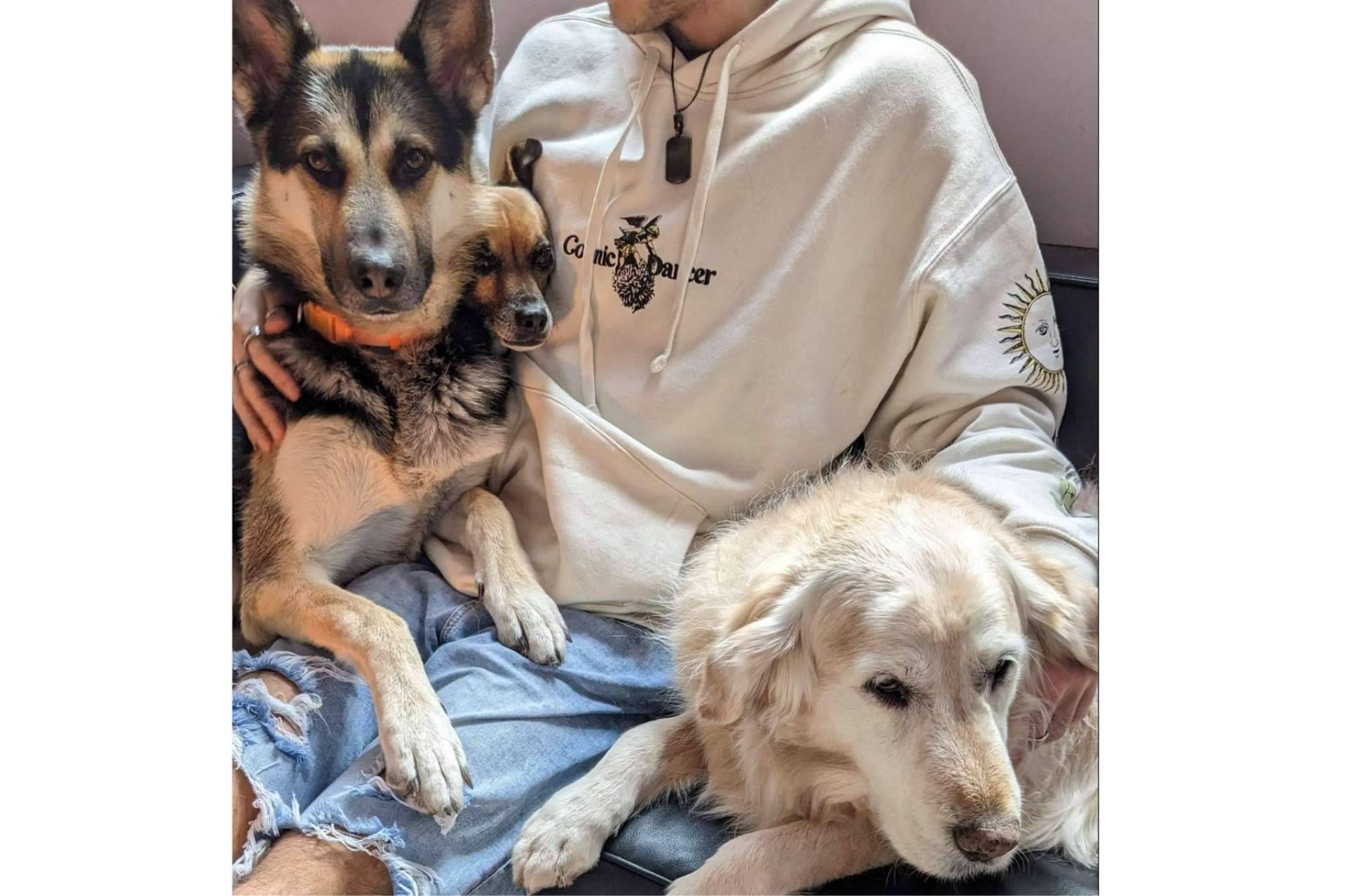 TEAsisTO y su servicio de intervenciones asistidas con animales