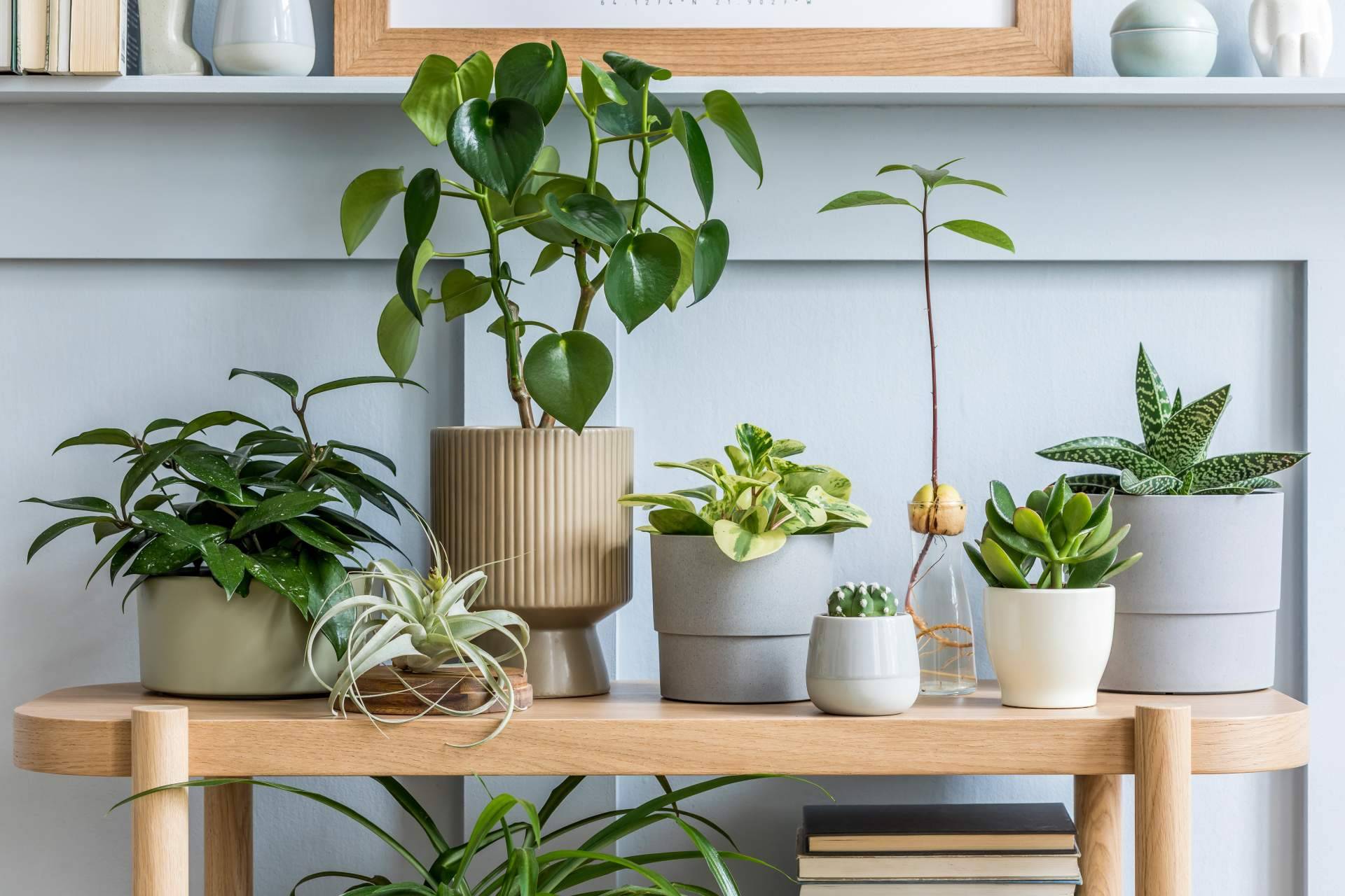 Las propuestas de decoración exterior para verano de Hogar y Más