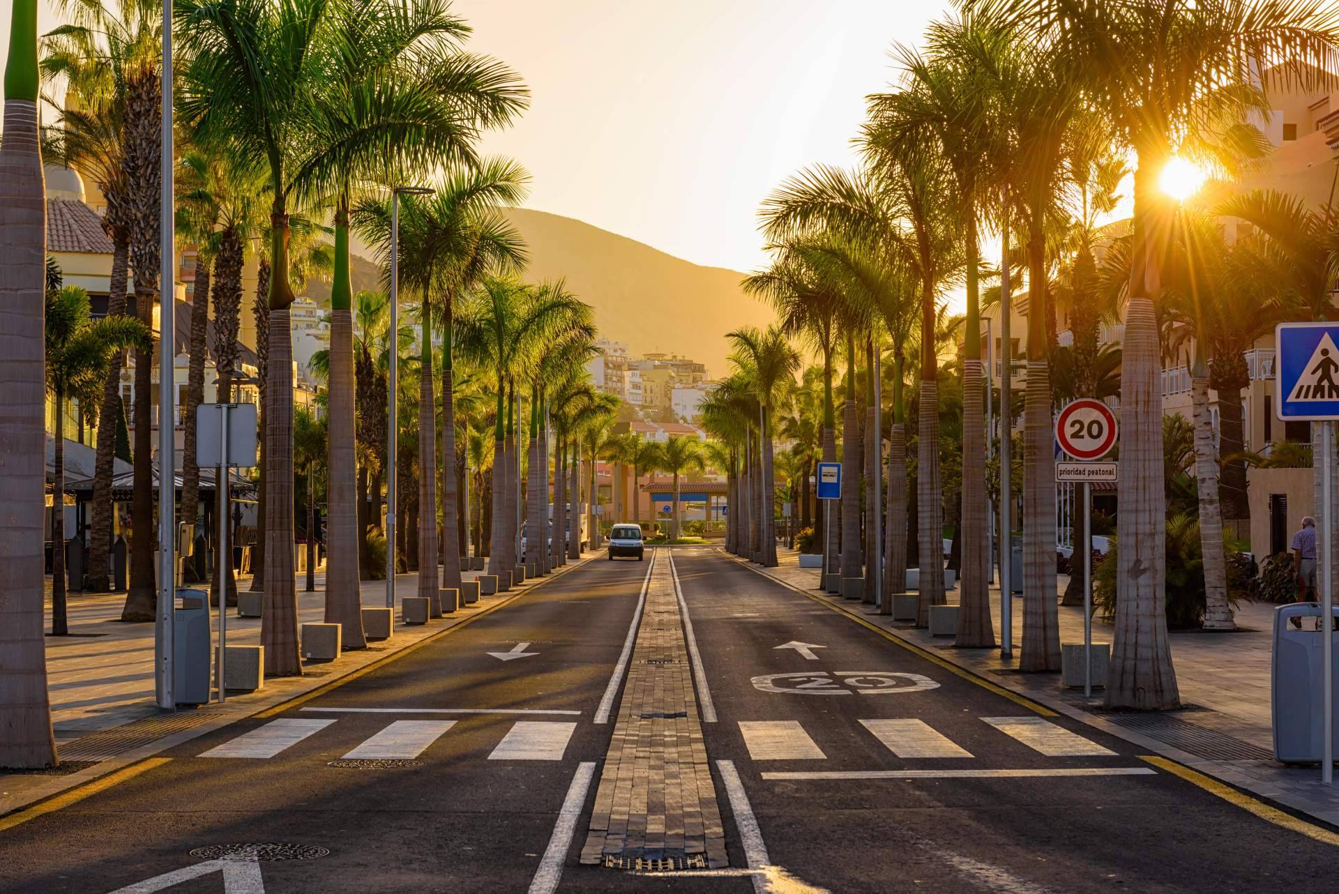 Alquilar un coche en Tenerife para visitar la isla en verano