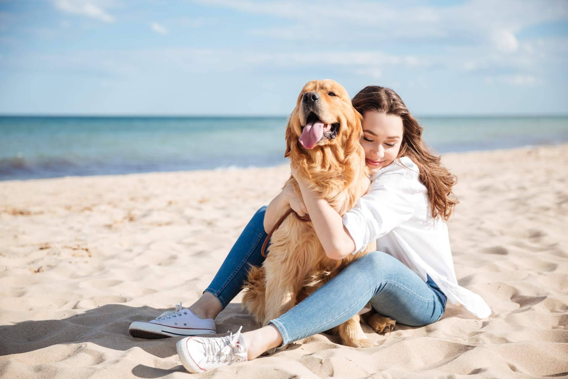 Descubrir el buscador pet friendly de ADOPTA y encontrar los mejores sitios para disfrutar con el perro
