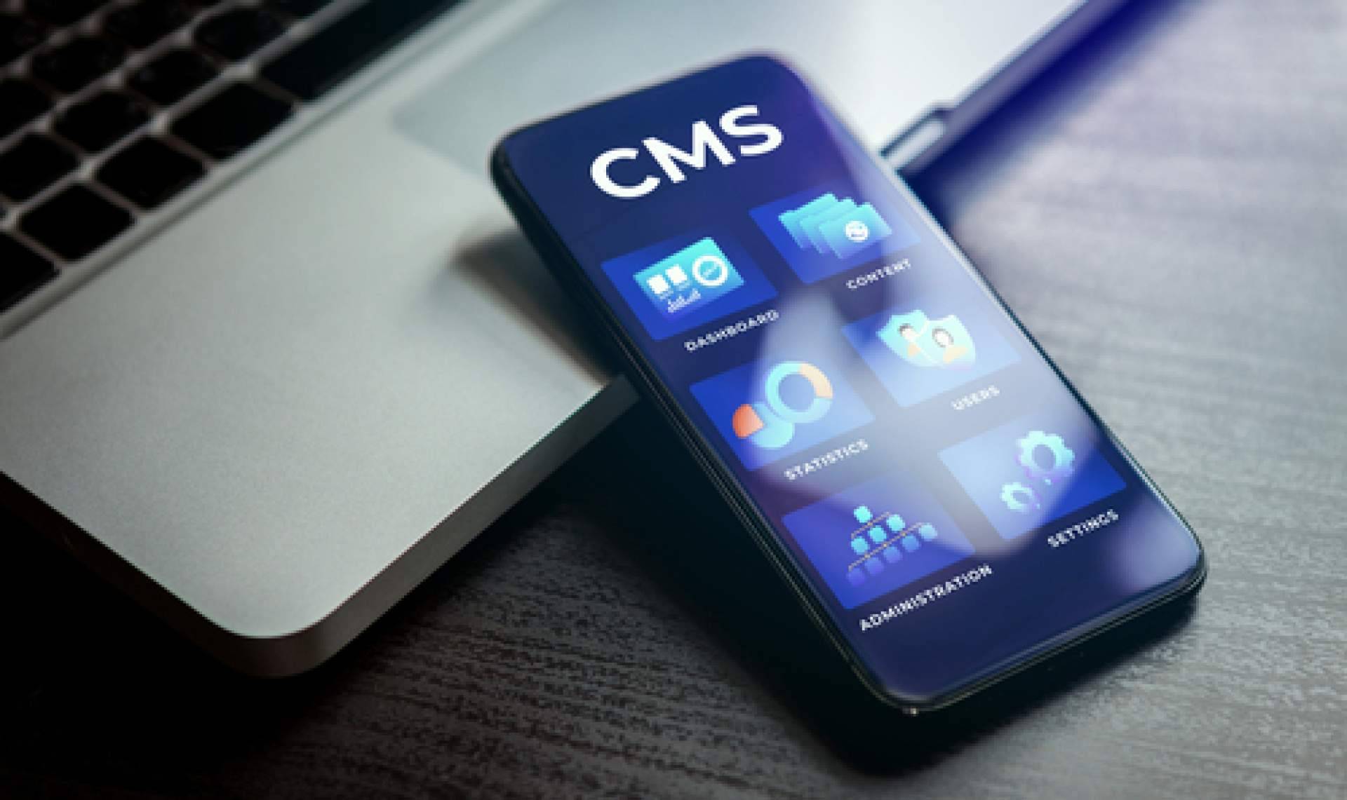 Prevención de vulnerabilidades, con la seguridad en los CMS