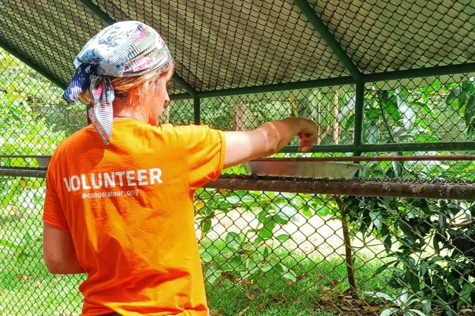 Cooperatour ayuda a las personas a viajar al extranjero para hacer un voluntariado con animales