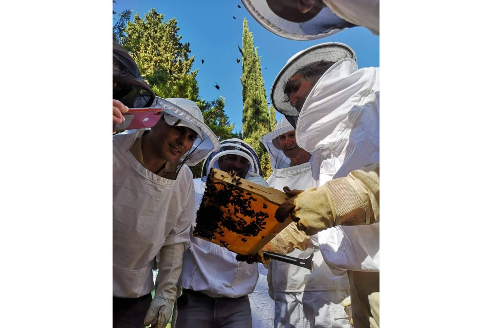 El papel de las abejas para la seguridad alimentaria y la vida saludable, por Cursos de Apicultura