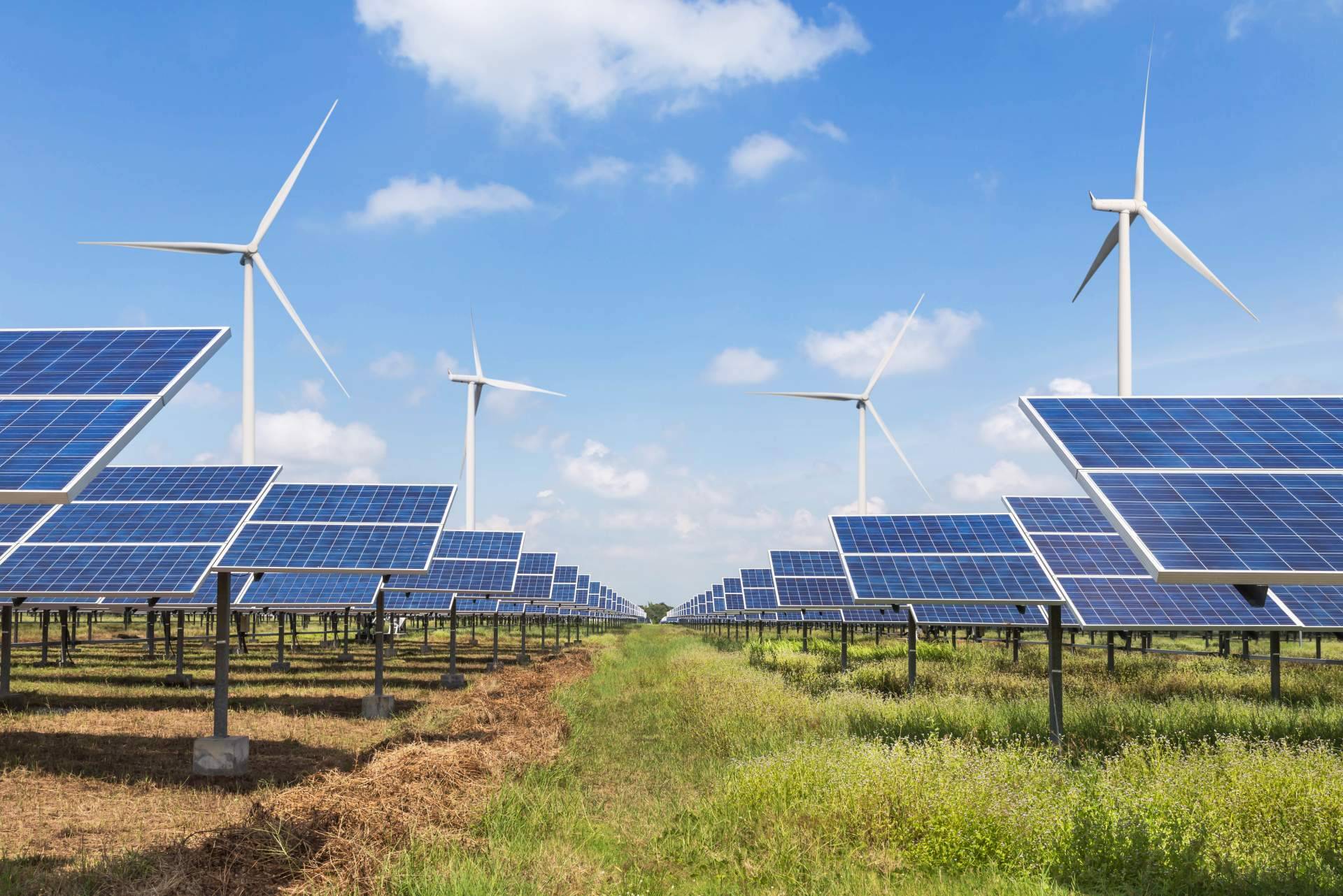 Los módulos solares fotovoltaicos disponibles en Solomnia permiten conseguir una mayor energía